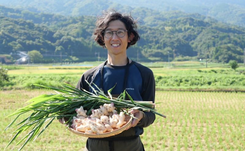【先行予約】 新生姜 1kg 生姜 しょうが ショウガ 野菜 薬味 スパイス 辛味 大生姜 さわやか 宮津市 京都府