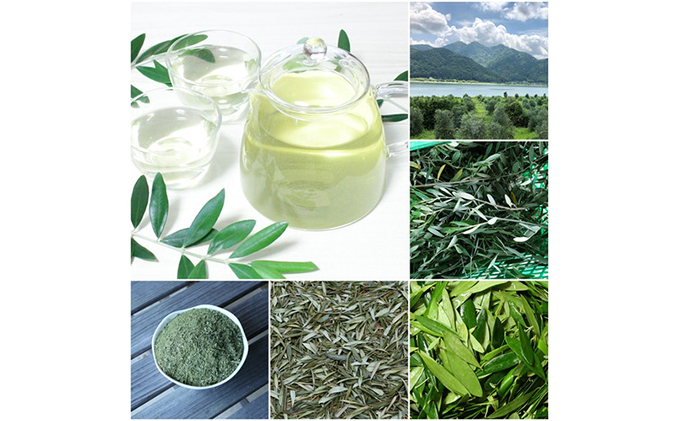 京都府宮津産100％　オリーブ茶10パック×3袋