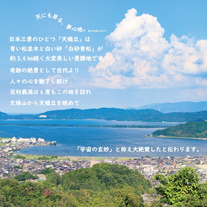 日本三景“天橋立”の旅館組合施設でご利用頂ける【宿泊・食事補助券B】: 宮津市ANAのふるさと納税