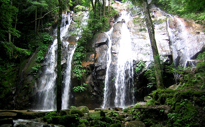 日本三景“天橋立”の旅館組合施設でご利用頂ける【宿泊・食事補助券D】