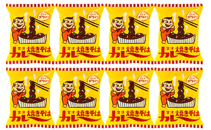 即席めん 宮津カレー焼きそば 4食入×2箱 天橋立 ご当地 ソウルフード インスタント麺 焼きそば ラーメン 麺類 B級グルメ 宮津 家庭 カレー焼きそば