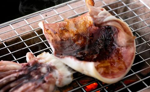 やまいち自慢、干物詰め合わせセット サバ カレイ イカ 一夜干し 桜干し みりん干し 魚 干物 ひもの 詰め合せ セット おつまみ 日本酒 肴