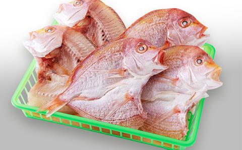 丹後のお魚屋さん一押しの絶品レンコダイの一夜干し