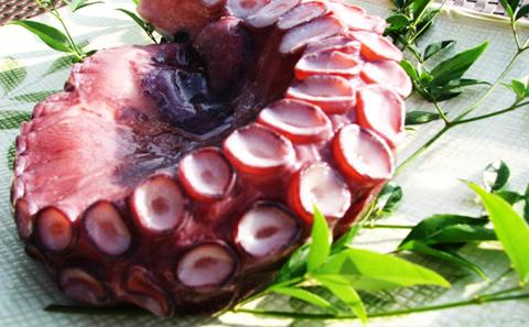 丸々太ったボイルタコ　1本 魚貝類 たこ タコ 茹で 刺身 たこ焼き 炒め物 酢の物 フライ 天ぷら 冷凍 日本海産 惣菜  日本酒 肴 珍味 ご飯のお供  日本酒 お取り寄せ