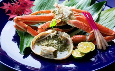 茹で松葉蟹 特大1杯（1,000g級）〈11月中旬～2026年3月末頃発送〉 蟹 カニ かに 松葉蟹 松葉ガニ ズワイガニ ボイル