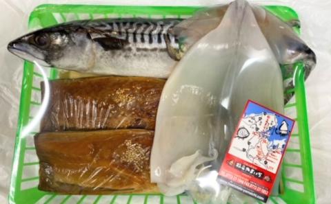 海の京都 橋立やまいち 干物セット 贈答用 B[ 一夜干し 桜干し ギフト ]