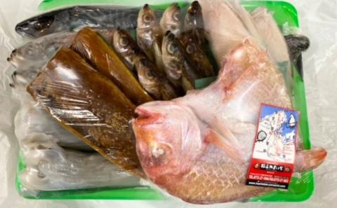 海の京都 橋立やまいち 干物セット 贈答用 D[ 一夜干し 桜干し ギフト ]