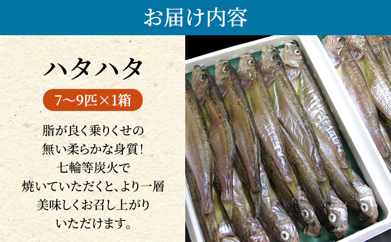 ハタハタ（特々大）干物 一夜干し 450g ×1箱【配送不可：離島】 魚貝類