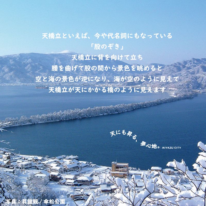 京都府宮津市 ANAトラベラーズホテル割引クーポン15,000点分