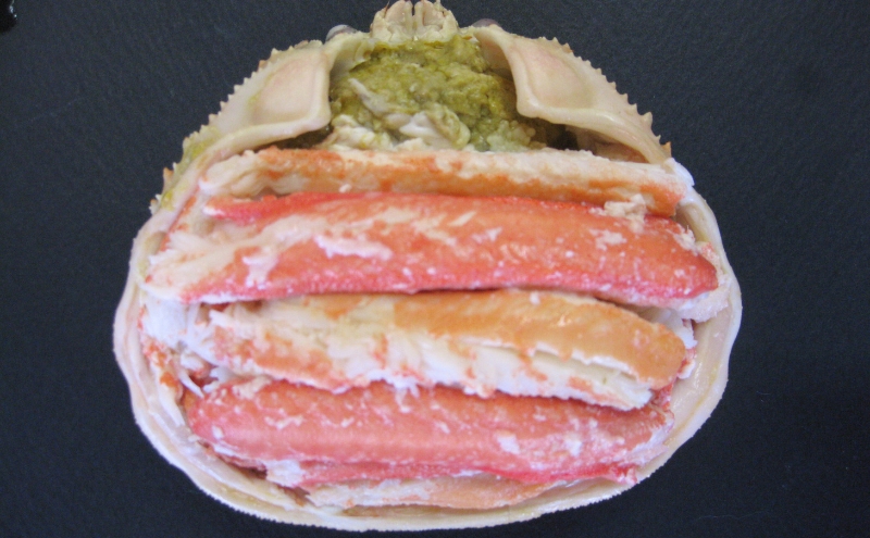 松葉蟹 ほぐし身（特々大）活き蟹 1100g級使用 甲羅盛り 〈11月中旬～2026年3月末発送〉 蟹 カニ かに 松葉蟹 松葉ガニ ズワイガニ 剥き身 殻なし