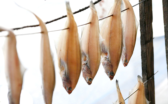 旨みたっぷりエテカレイ　(大 4匹) 魚貝類 魚 一夜干し エテカレイ 干物 ひもの セット 日本酒 肴 珍味 ご飯のお供 日本酒