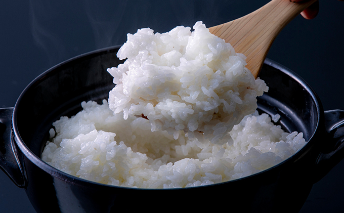 令和7年産 特別栽培米つやっ娘米 5kg 丹後こしひかり お米 米 ご飯 コシヒカリ つやっ娘 丹後 宮津 京都 海の京都 特別栽培米 新米 グルメ