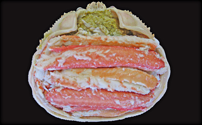 松葉蟹 ほぐし身（小～中）活き蟹 700g級使用 甲羅盛り 〈11月中旬～2026年3月末発送〉 蟹 カニ かに 松葉蟹 松葉ガニ ズワイガニ 剥き身 殻なし