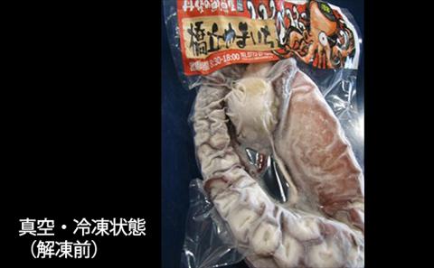 丸々太ったボイルタコ　1本 魚貝類 たこ タコ 茹で 刺身 たこ焼き 炒め物 酢の物 フライ 天ぷら 冷凍 日本海産 惣菜  日本酒 肴 珍味 ご飯のお供  日本酒 お取り寄せ