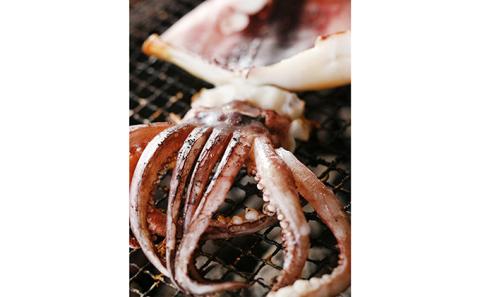 柔らか肉厚のスルメイカ一夜干し 3枚 魚貝類 イカ いか スルメイカ お酒 つまみ 特大 新鮮 保存 冷凍 国産 送料無料 酒の肴 酒のつまみ