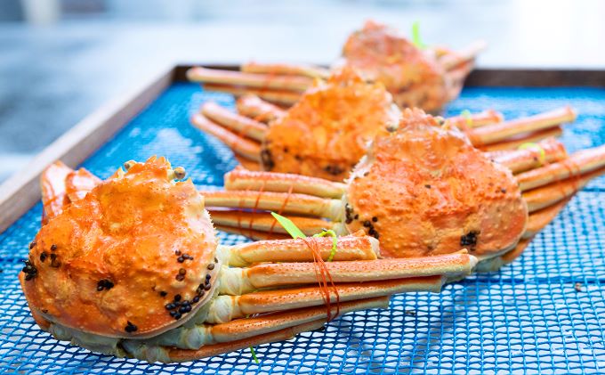 茹で松葉蟹 1杯（700g級）〈11月中旬～2026年3月末頃発送〉 蟹 カニ かに 松葉蟹 松葉ガニ ズワイガニ ボイル