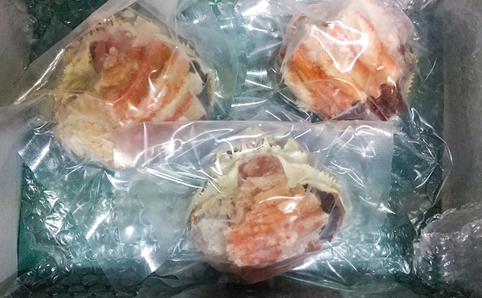 新物 セコガニ コッペがに ほぐし身（特大サイズ）3個セット 甲羅盛り〈11月中旬～2026年3月末発送〉 蟹 カニ かに 松葉蟹 松葉ガニ ズワイガニ ボイル