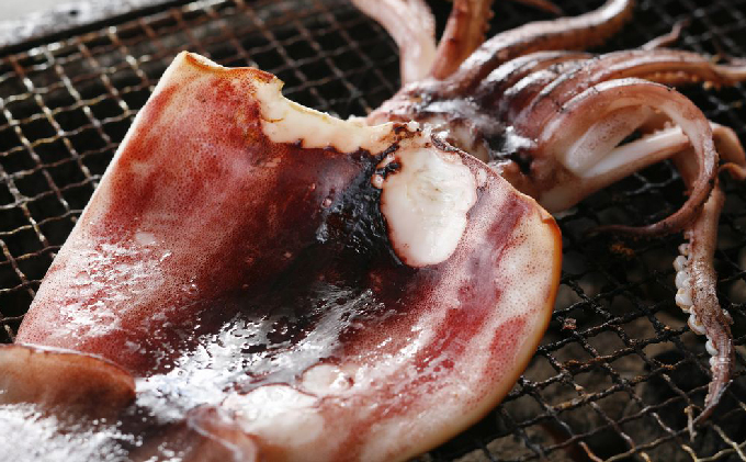 京都 ・ 天橋立 海鮮3種詰め合わせセット 特大ホッケ サザエ串 イカ一夜干し 海鮮 魚貝類 魚 サザエ いか イカ ホッケ 一夜干し