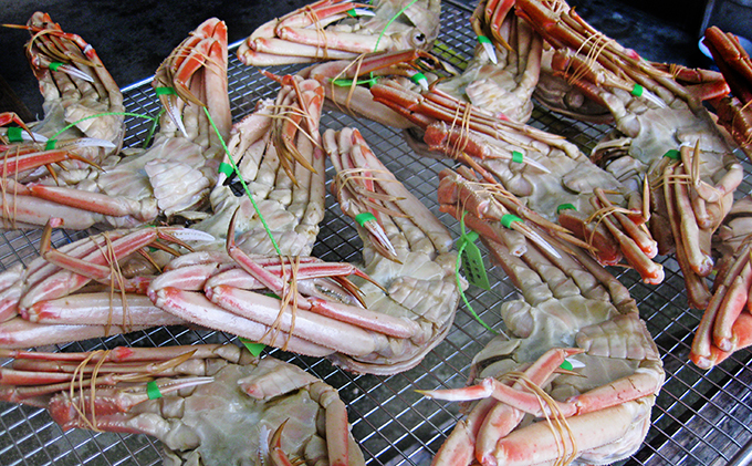 松葉蟹 ほぐし身（小～中）活き蟹 700g級使用 甲羅盛り 〈11月中旬～2026年3月末発送〉 蟹 カニ かに 松葉蟹 松葉ガニ ズワイガニ 剥き身 殻なし