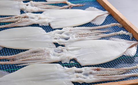 柔らか肉厚のスルメイカ一夜干し 3枚 魚貝類 イカ いか スルメイカ お酒 つまみ 特大 新鮮 保存 冷凍 国産 送料無料 酒の肴 酒のつまみ