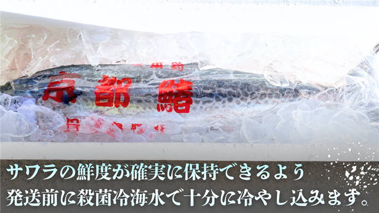 一本釣「特選船上活〆サワラ」京都宮津