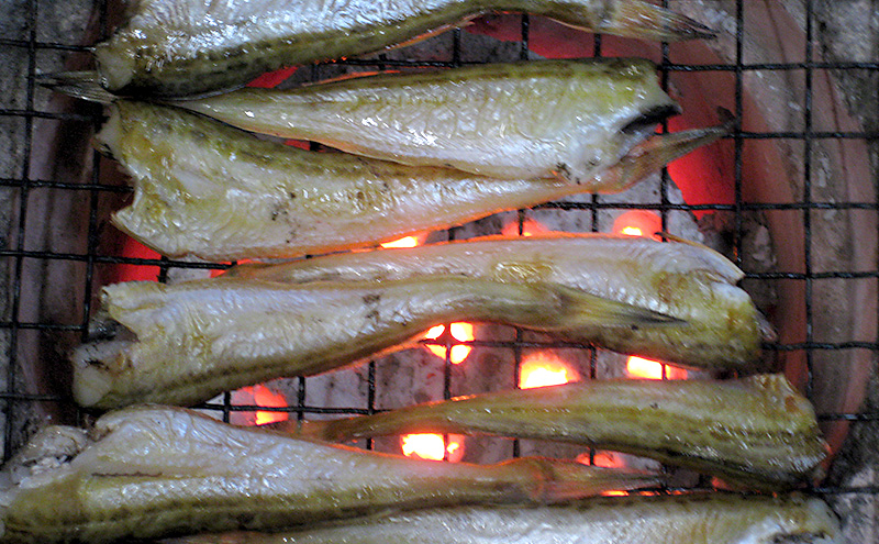 ハタハタ（特々大）干物 一夜干し 450g ×1箱【配送不可：離島】 魚貝類