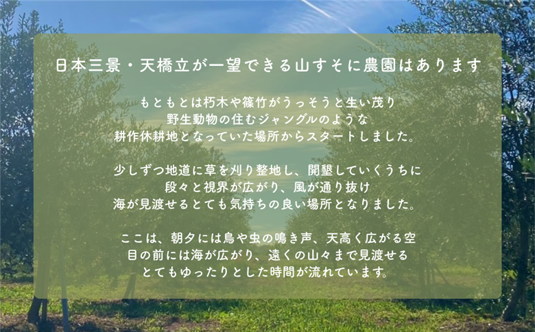 オリーブオイル 100g MAEDA OLIVE FARM 京都宮津産 100%