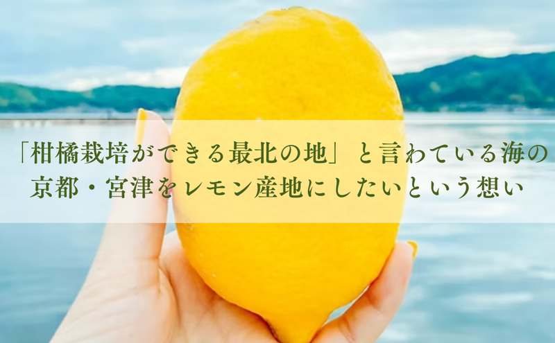 檸檬胡椒　70g　レモン れもん 調味料 スパイス 薬味 京都府 宮津市
