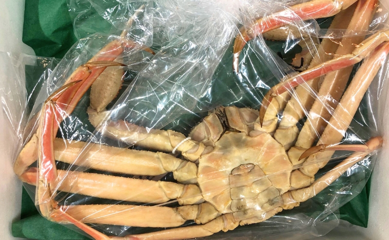 蟹 タグ付き 松葉蟹 (ボイル) 中1匹分[ かに カニ 松葉ガニ ]