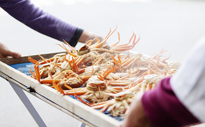 新物 セコガニ コッペがに ほぐし身（中サイズ）3個セット 甲羅盛り〈11月中旬～2026年3月末発送〉 蟹 カニ かに 松葉蟹 松葉ガニ ズワイガニ ボイル