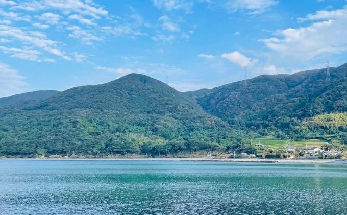 宮津の風景プレミアム ソープ （ 洗顔用 石けん ）植物性 保湿 美容 無添加 天然 洗顔 石鹸 固形 せっけん 肌 手作り 手づくり