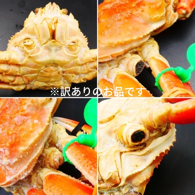 訳あり 松葉ガニ 茹で タグ付き 700g up 3杯《2024年11月中旬～12月中旬、もしくは、2025年1月中旬以降以降順次発送》