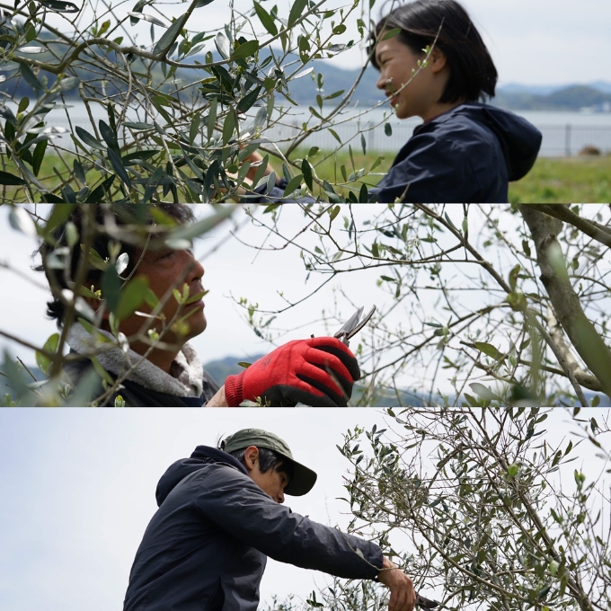 京都宮津産 オーガニックオリーブ 石鹸 80g 植物性 保湿 美容 無添加 ソープ 天然 洗顔 固形 せっけん 手作り