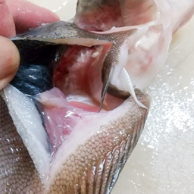 特大エテカレイ 一夜干し 3枚 魚貝類 魚 地魚 一夜干し エテカレイ カレイ 大きめ 干物 ひもの セット 冷凍 個包装