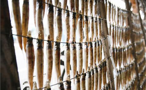 ふっくら柔らかい沖キスの一夜干し 14匹入 日本海 沖キス キス 一夜干し 干物 魚 ひもの おつまみ 日本酒 肴 珍味 ご飯のお供