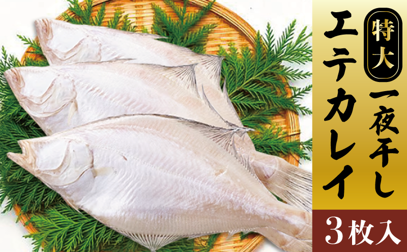 特大エテカレイ 一夜干し 3枚 魚貝類 魚 地魚 一夜干し エテカレイ カレイ 大きめ 干物 ひもの セット 冷凍 個包装