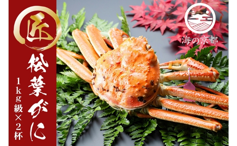 茹で松葉蟹 特大2杯（1,000g級）〈11月中旬～2026年3月末頃発送〉 蟹 カニ かに 松葉蟹 松葉ガニ ズワイガニ ボイル