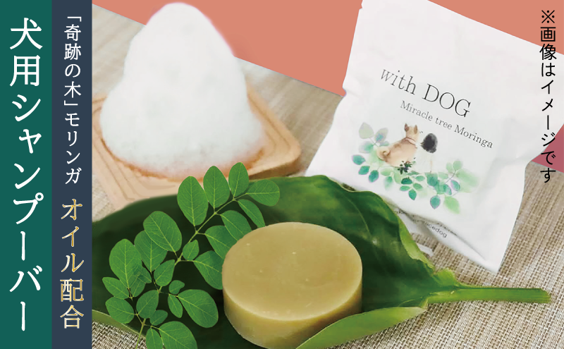 モリンガドッグシャンプーバー1個 ペット用品 ペット ドッグシャンプー ペットシャンプー シャンプー 犬 犬用 サラサラ 低刺激 モリンガ 宮津市 京都府