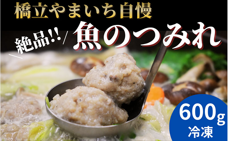 橋立やまいち自慢の魚のつみれ 2パックセット（冷凍）600g つみれ 魚 鍋 京都府 宮津市