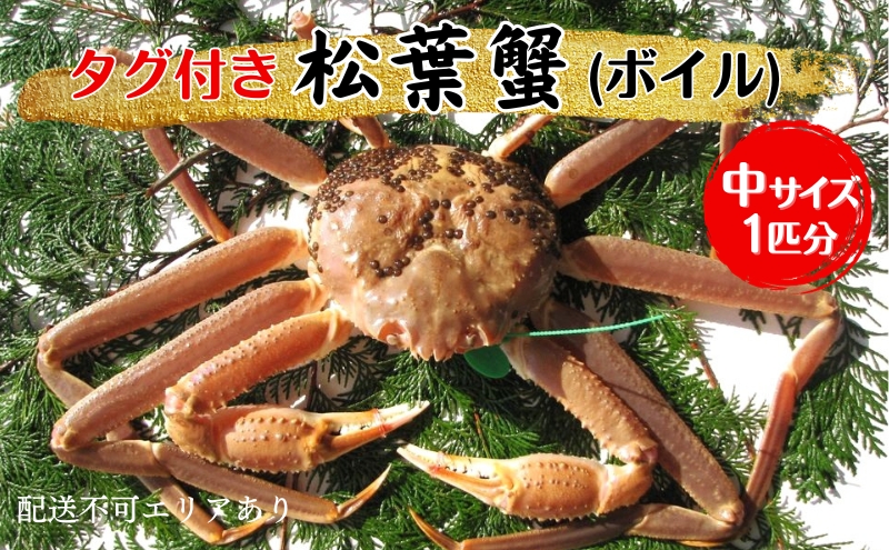 蟹 タグ付き 松葉蟹 (ボイル) 中1匹分[ かに カニ 松葉ガニ ]