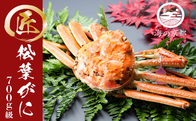 茹で松葉蟹 1杯（700g級）〈11月中旬～2026年3月末頃発送〉 蟹 カニ かに 松葉蟹 松葉ガニ ズワイガニ ボイル