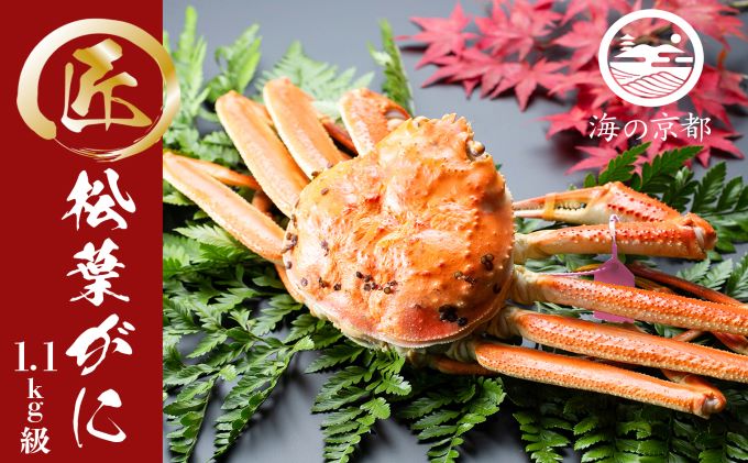 茹で松葉蟹 特々大1杯（1,100g級）〈11月中旬～2026年3月末頃発送〉 蟹 カニ かに 松葉蟹 松葉ガニ ズワイガニ ボイル