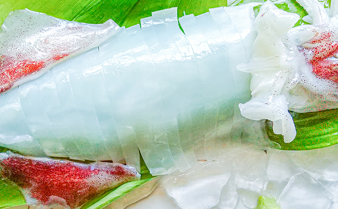 【2026年2月以降順次出荷】朝どれ 白いか 1kg（3～6杯）【 京都産 刺身 OK】[ イカ 剣先イカ 肴 人気返礼品 ] 魚貝類