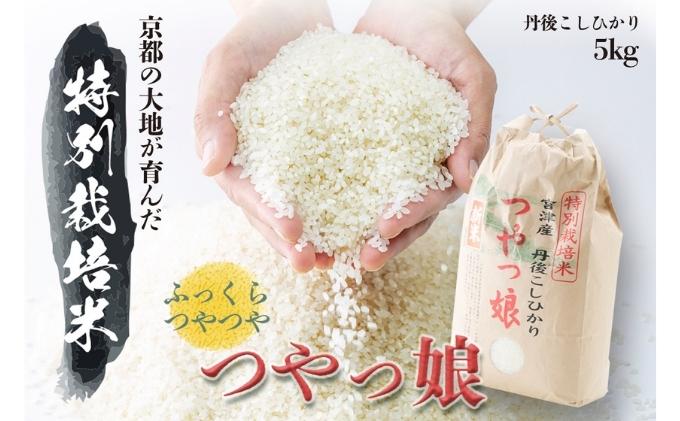 令和7年産 特別栽培米つやっ娘米 5kg 丹後こしひかり お米 米 ご飯 コシヒカリ つやっ娘 丹後 宮津 京都 海の京都 特別栽培米 新米 グルメ