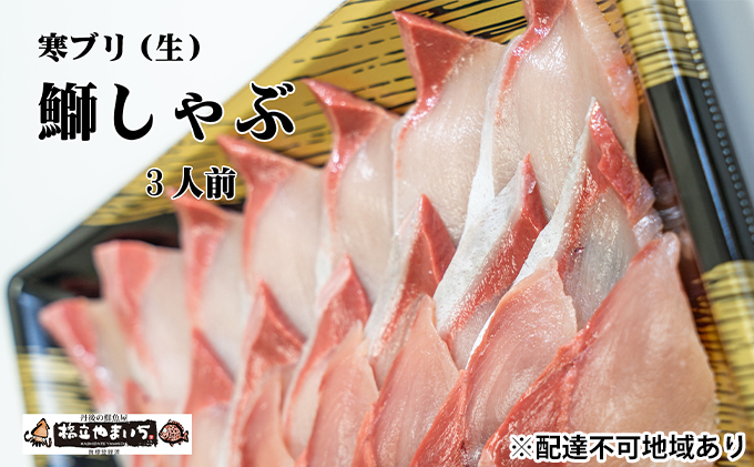 寒ブリ（生・刺身可）しゃぶしゃぶ用（3人前分）魚貝類 魚 海鮮 ブリ 冬ギフト 刺身 しゃぶしゃぶ ブリしゃぶ 鰤 和食