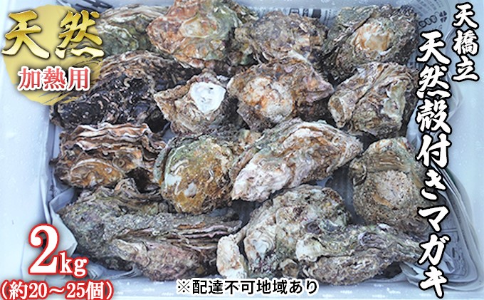 天橋立 天然殻付きマガキ 2kg（約20～25個）【加熱用】魚貝類 牡蠣 カキ 天然 産地直送 焼き 蒸し 真牡蠣 日本酒