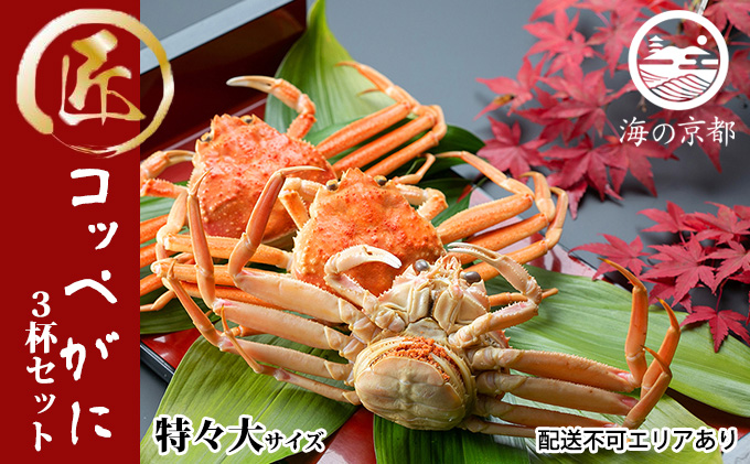 セコガニ コッペがに 特々大サイズ 3杯セット （冷蔵）〈11月中旬～12月下旬発送〉  蟹 カニ かに 松葉蟹 松葉ガニ ズワイガニ ボイル