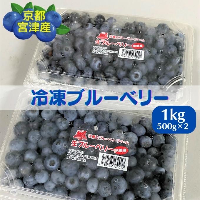 京都 天橋立産 冷凍 ブルーベリー 1kg（500g×2パック）（生食用）