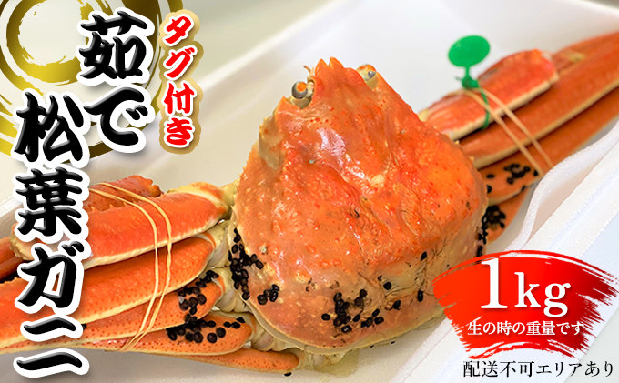 松葉ガニ 茹で タグ付き1kg up《2024年11月中旬～12月中旬、もしくは、2025年1月中旬以降以降順次発送》