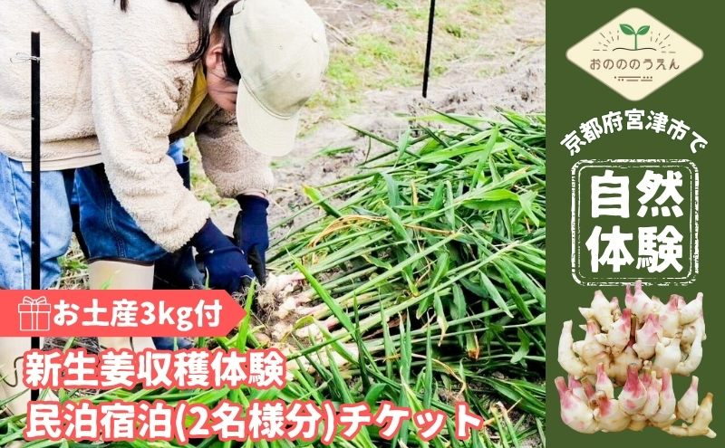 京都府産　お土産付き生姜収穫体験(新生姜お土産3kg付)＋民泊宿泊(2名様分)チケット